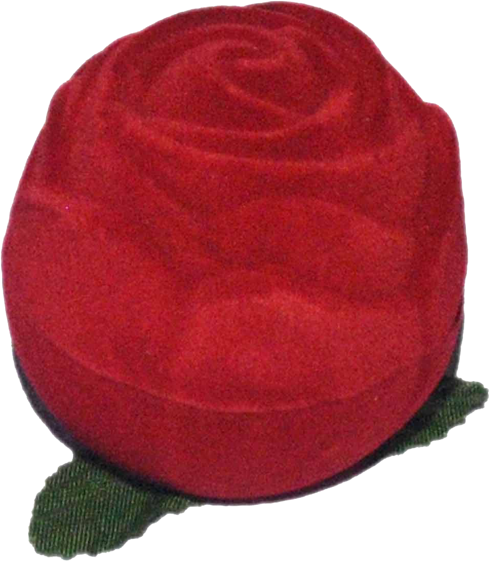 Red Ring Case - Online Shopping (1200x1500), Png Download