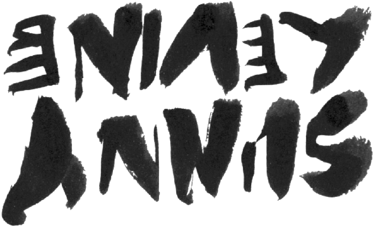 Sunny Levine Upside Down - Drawing (1000x484), Png Download