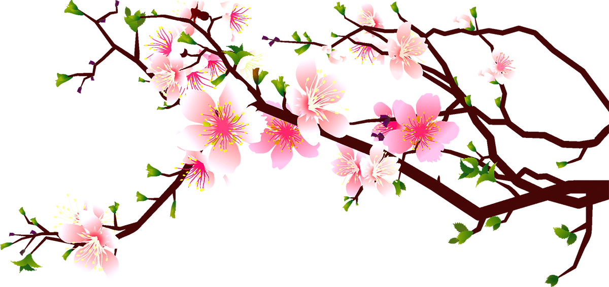 Jpg Black And White Download At Getdrawings Com Free - Cherry Blossoms Clipart Free (1200x566), Png Download