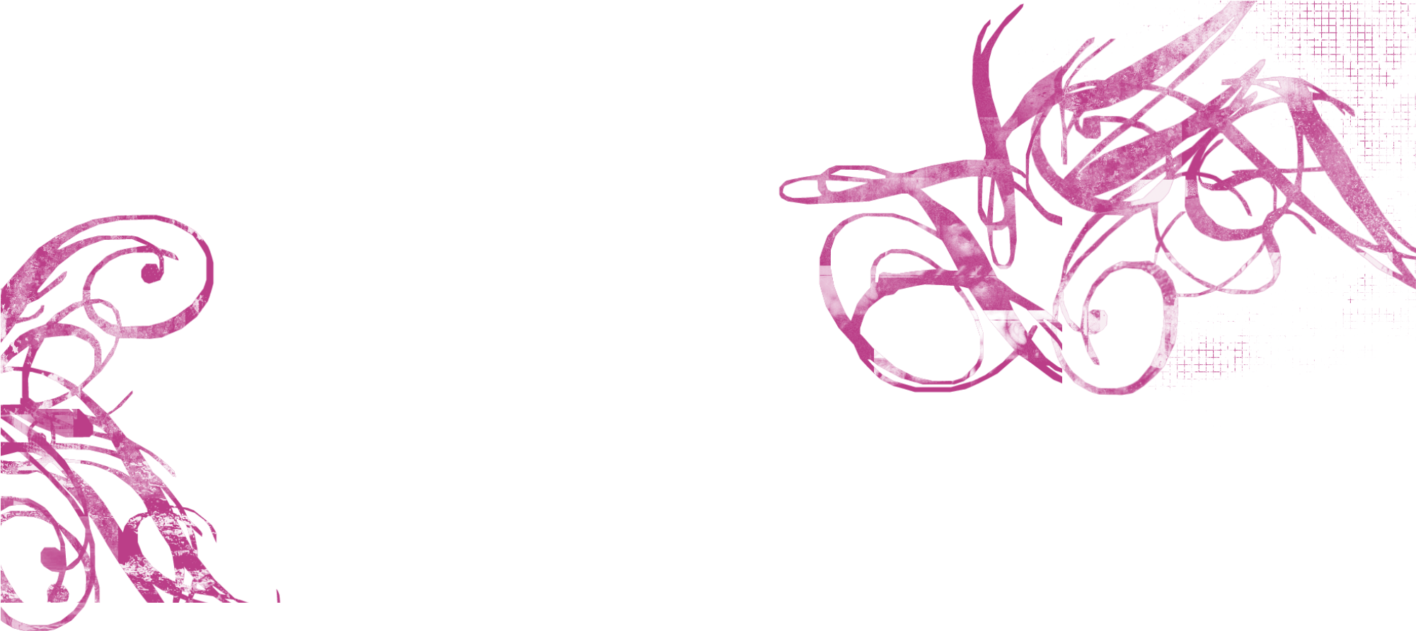 Follow Suzanne On Instagram - Sasa (2000x900), Png Download