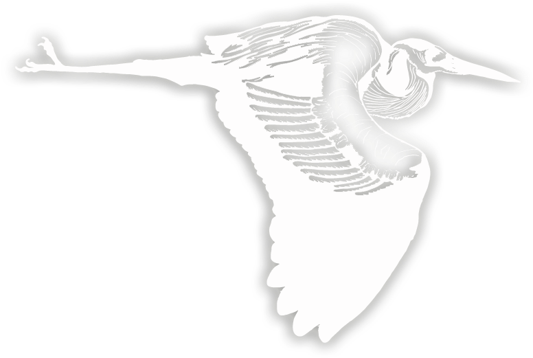 Contact - Seabird (987x751), Png Download