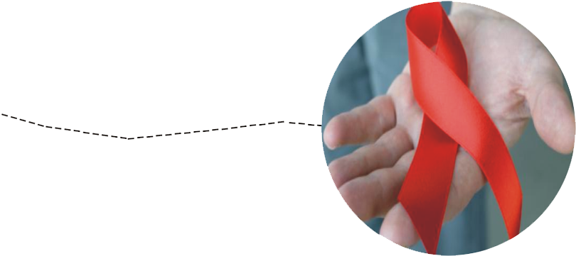 Image01 - Origami (907x360), Png Download