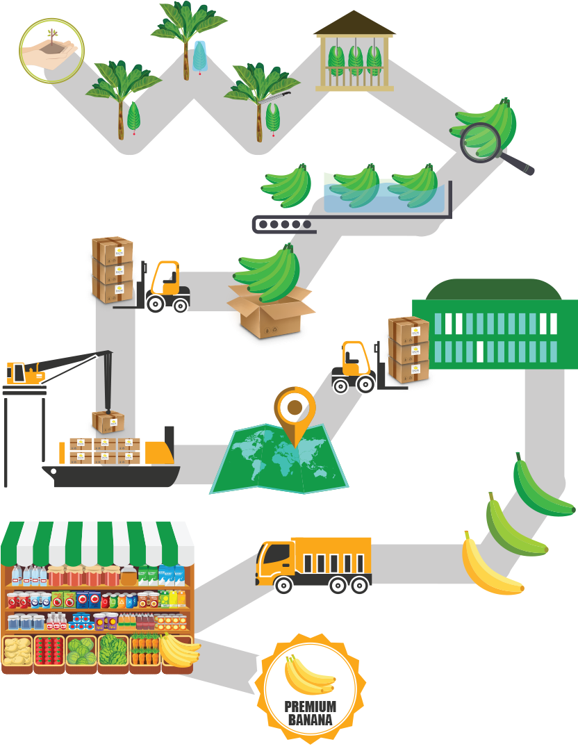 Dazak, Trading Company S - Trade (850x1100), Png Download