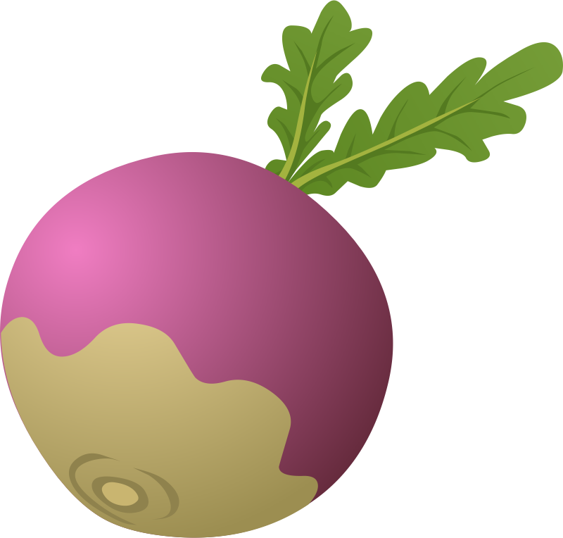 Beet Clipart Turnip - Turnip Clipart (800x764), Png Download