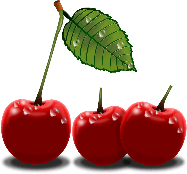 Cherry Clipart Black And White Free Clipart Image 2 - Cherry Png Clip Art (795x741), Png Download