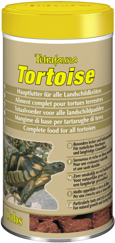 Turtle (246x491), Png Download