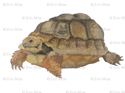 Rimg 9612 Preview - Thumb (400x300), Png Download