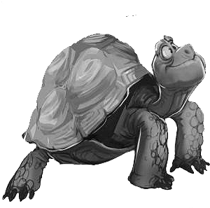 Cropped-19970527 1581823965163895 735729839 N2 - Crazy Critters Inc. (488x400), Png Download