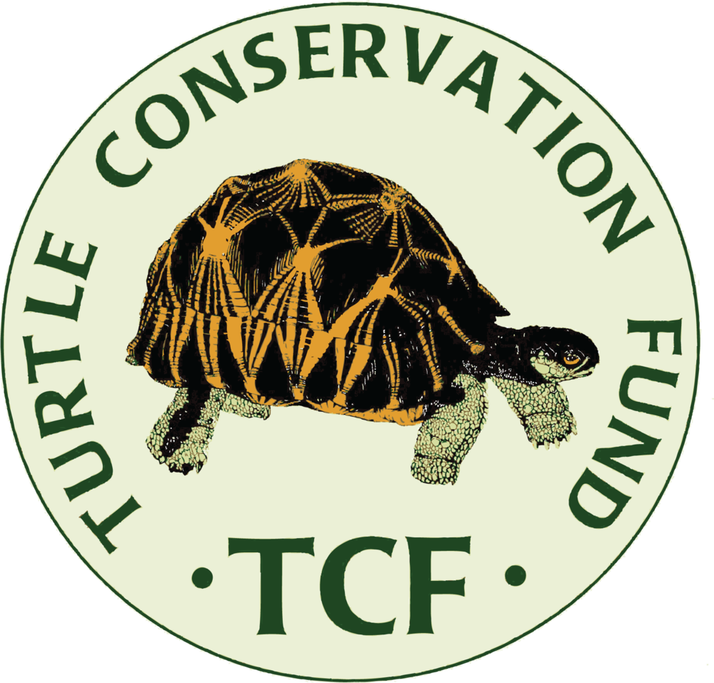 The Turtle Conservation Coalition - Turtle Conservation Fund Logo (1000x957), Png Download