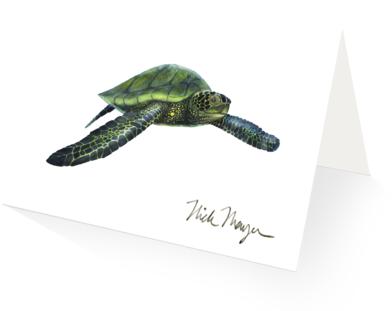 Green Sea Turtle - Wild Oceans Coloring Book: Saltwater Fish And Deep (480x387), Png Download