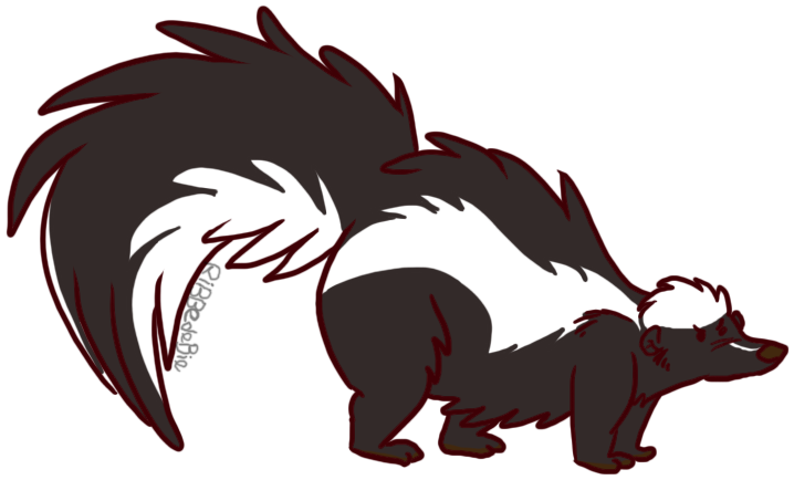 Why I Like Skunks - Drawing (729x450), Png Download