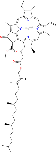 Chlorophyll Pickup In Extractions - Structure Of Chlorophyll B (220x550), Png Download