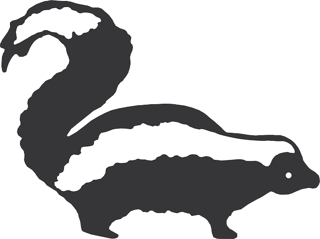 Stripes, Art, Skunk, Animal, Fur - Skunk Clip Art (640x477), Png Download