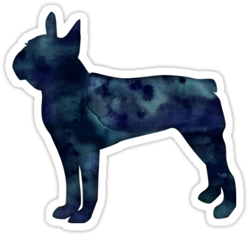 Boston Terrier Black Watercolor Silhouette - Terrier (375x360), Png Download
