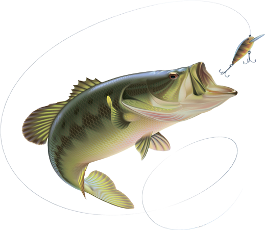 Png Black Bass Fishing Rod - Fishing Pliers Hemostat Locking Stainless Steel Locking (1140x500), Png Download