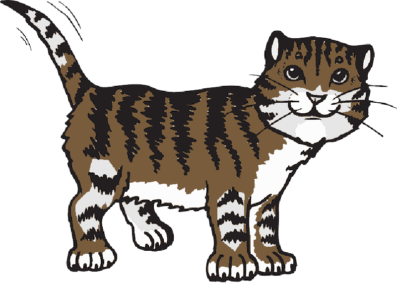 Mb Image/png - Cute Tiger Large Wall Clock (800x570), Png Download