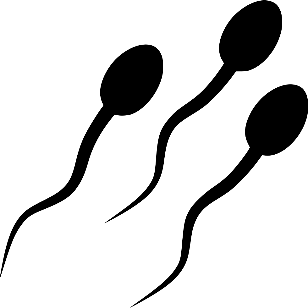 Png File - Sperm Svg (980x980), Png Download