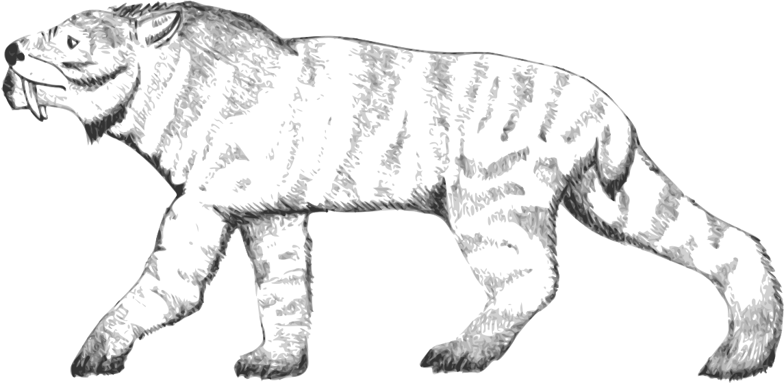 Ennedi Tiger (1200x661), Png Download