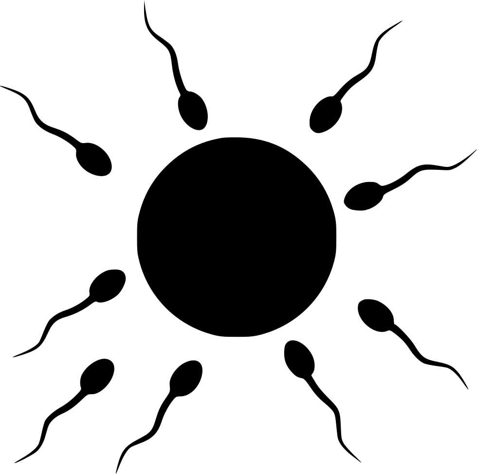 Png File - Sperm And Egg Png (980x974), Png Download