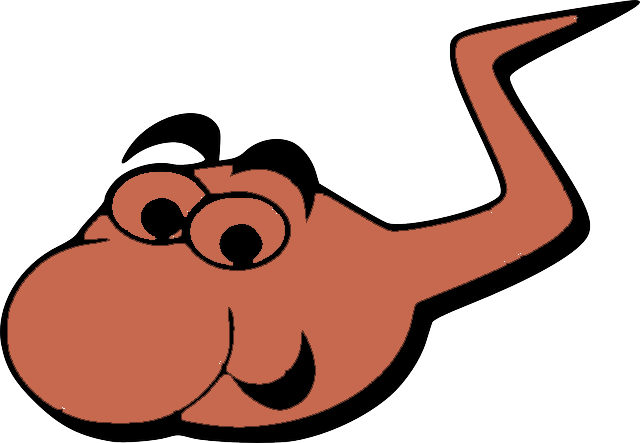 Sperm Courtesy Of Pixabay - Sperm Cartoon Png (640x443), Png Download