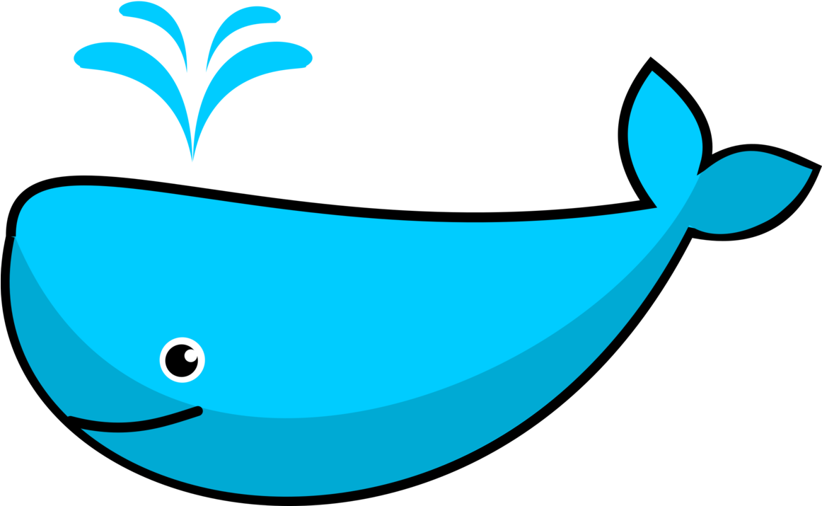 Sperm Whale Killer Whale Cetacea Blue Whale Walliams - Whale Clipart Png (1161x750), Png Download