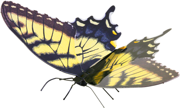 Metal Earth Butterflies - Metal Earth Butterfly (600x600), Png Download