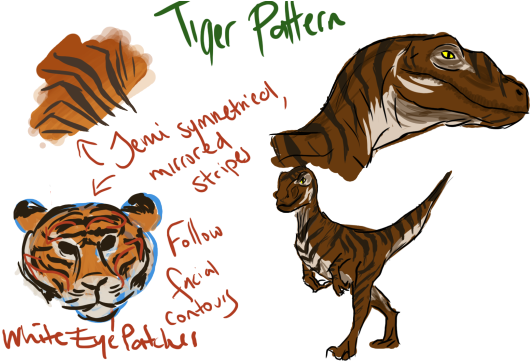 I Tried To Use The 'ghost Face' Look Of The Barn Owl - Bengal Tiger (540x369), Png Download