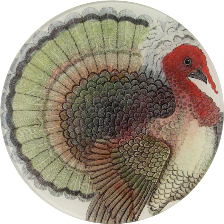Holiday (800x800), Png Download
