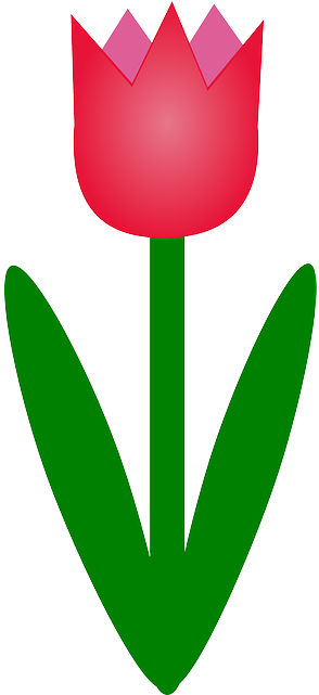 Red, Outline, Plants, Leaf, Tulips, Flower, Flowers - Clipart Of Tulip (320x640), Png Download