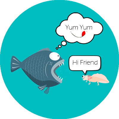 Can Axolotl Live With Fish - Axolotl (400x400), Png Download