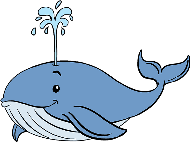 Png Freeuse Stock Sperm Whale Drawing Killer Whale - Drawing (678x600), Png Download