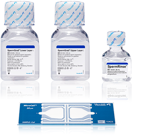 Sperm Processing - Medicine (650x673), Png Download