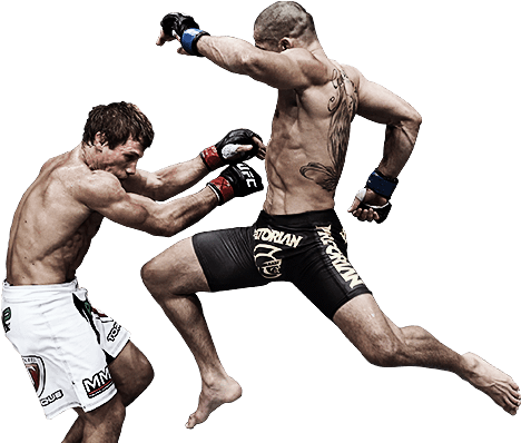 Ea Sports Ufc Png Background Image - Ufc Transparent Background (505x446), Png Download