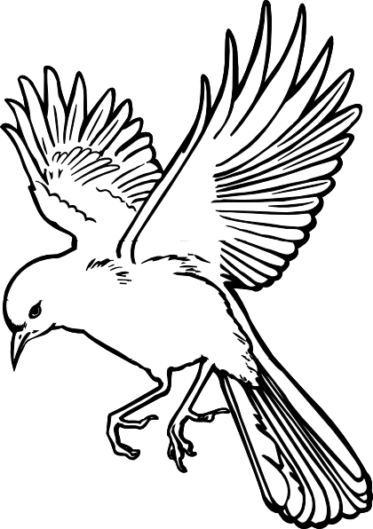 Flying Bird Drawing - Flying Bird Drawing Art (420x596), Png Download