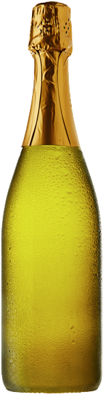 Our Wine Range - Champagne Bottle No Label (250x600), Png Download