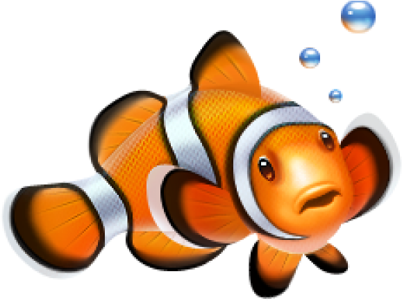 Clown Fish Icon (640x480), Png Download