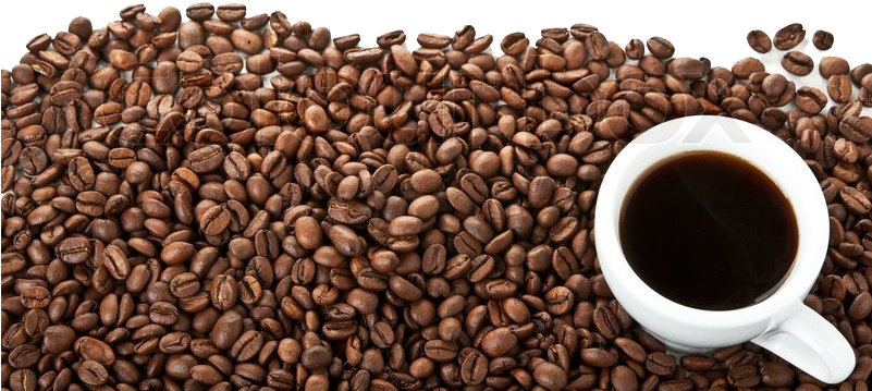 800 × - Coffee Beans White Background Png (800x531), Png Download