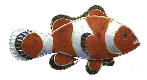 Clownfish Earrings - 38 - 99 - 0083pin (900x900), Png Download