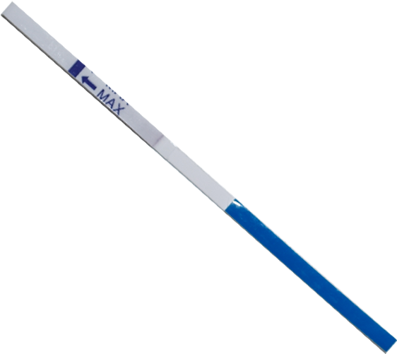 Early Pregnancy Test - Teleskopická Násada Laminátová (600x800), Png Download