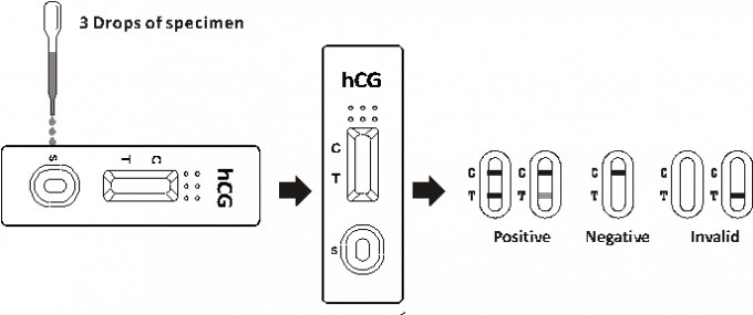 Rapid Diagnostic Test (680x285), Png Download