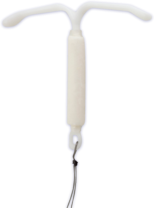 The Unexpected Pregnancy Test - Pregnancy Test (600x817), Png Download