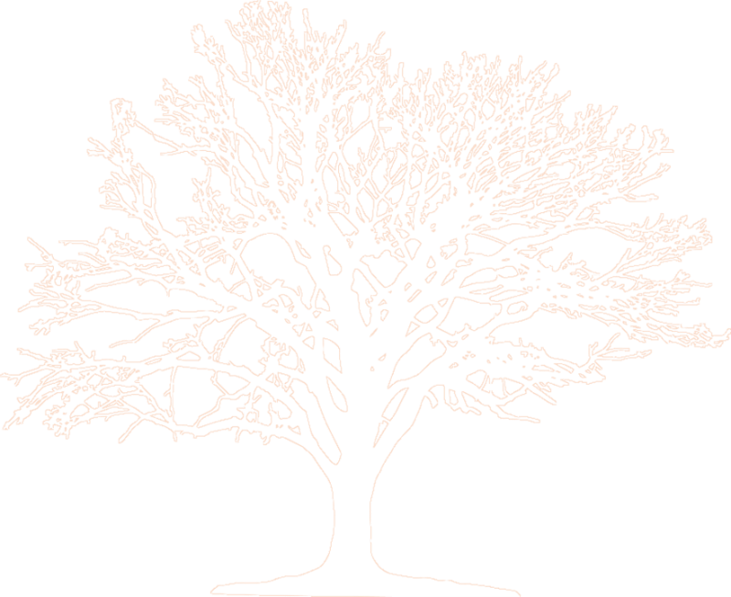 Join The People Of Congo Basin And Share Your Wish - Crochet Snowflakes (800x653), Png Download