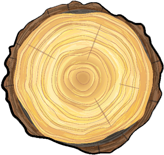 Tree Wellness - Tree (768x672), Png Download
