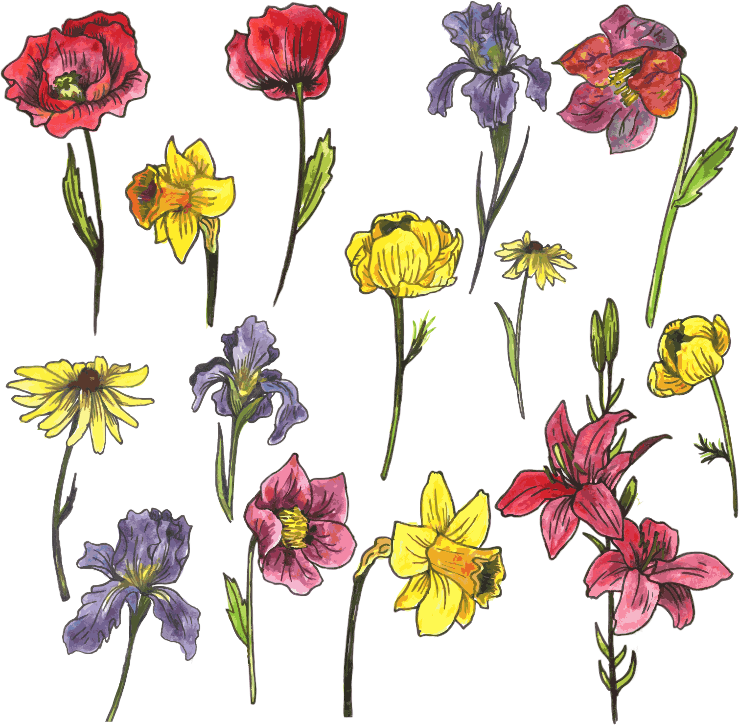 Watercolor Painting Euclidean Vector Flower - Watercolor Painting (2222x2222), Png Download