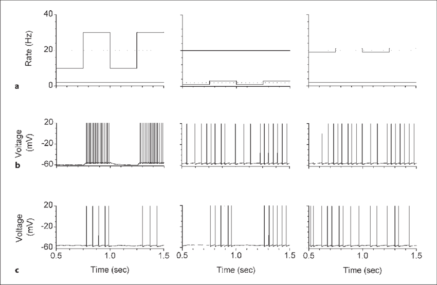 Effect Of The Stp On The Output Of An Integrate And - Calligraphy (850x555), Png Download