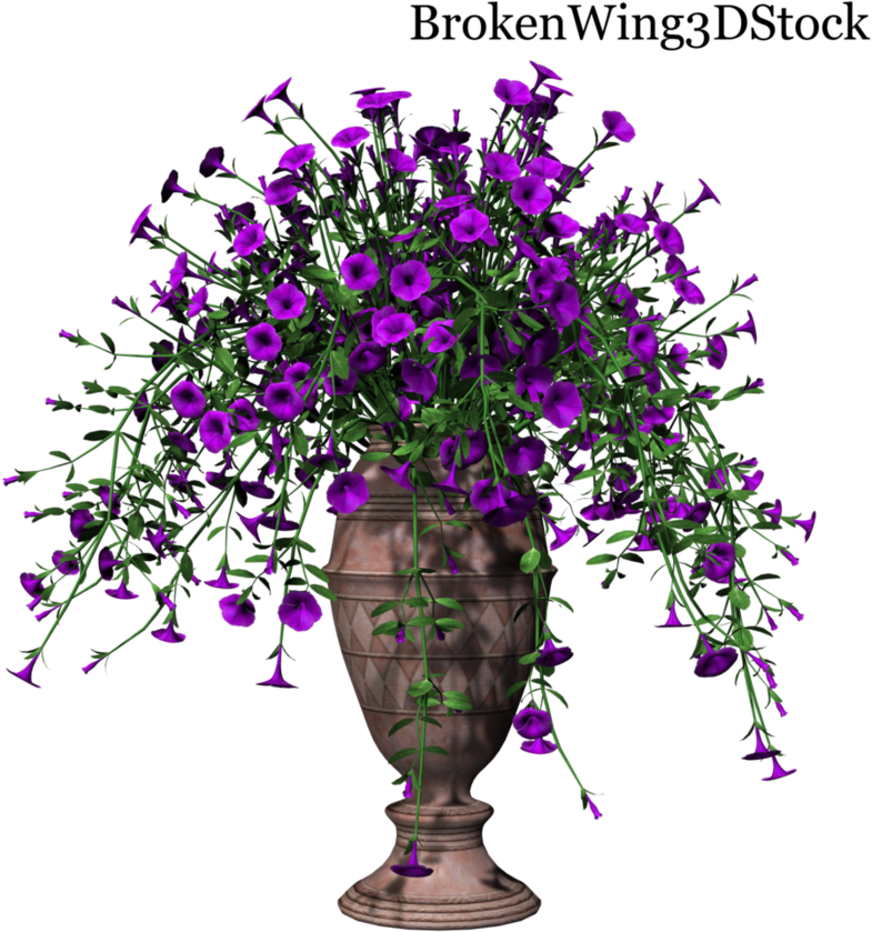 Petunia Transparent Png - Flowerpot (894x894), Png Download