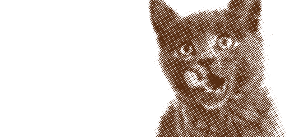 Cat (1150x440), Png Download