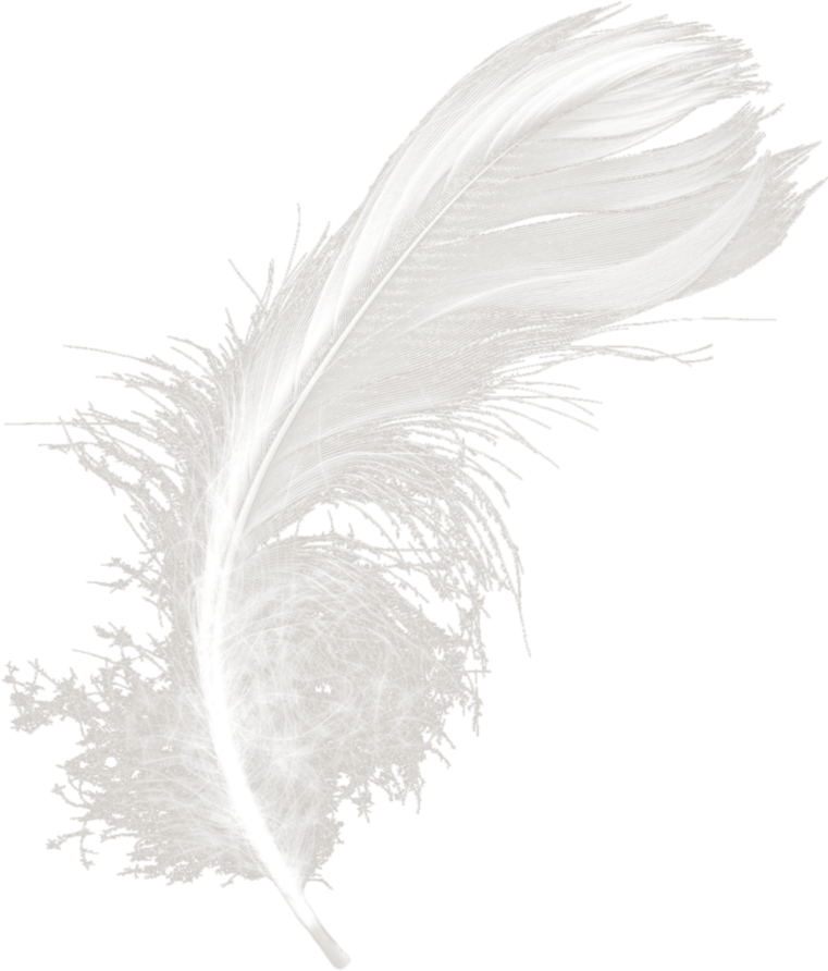 Monochrome (1024x1024), Png Download