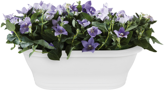 Home > Collection > Corsica Wall Basket - Corsica Wall Basket 39cm Anthracite (750x750), Png Download