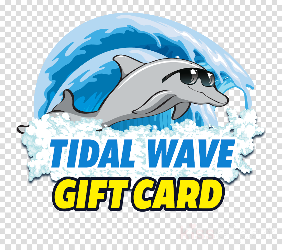 Gift Card Clipart Common Bottlenose Dolphin Logo - Tidal Wave Auto Spa (900x800), Png Download
